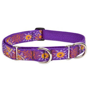 Lupine Pets are known for their high quality martingale collars