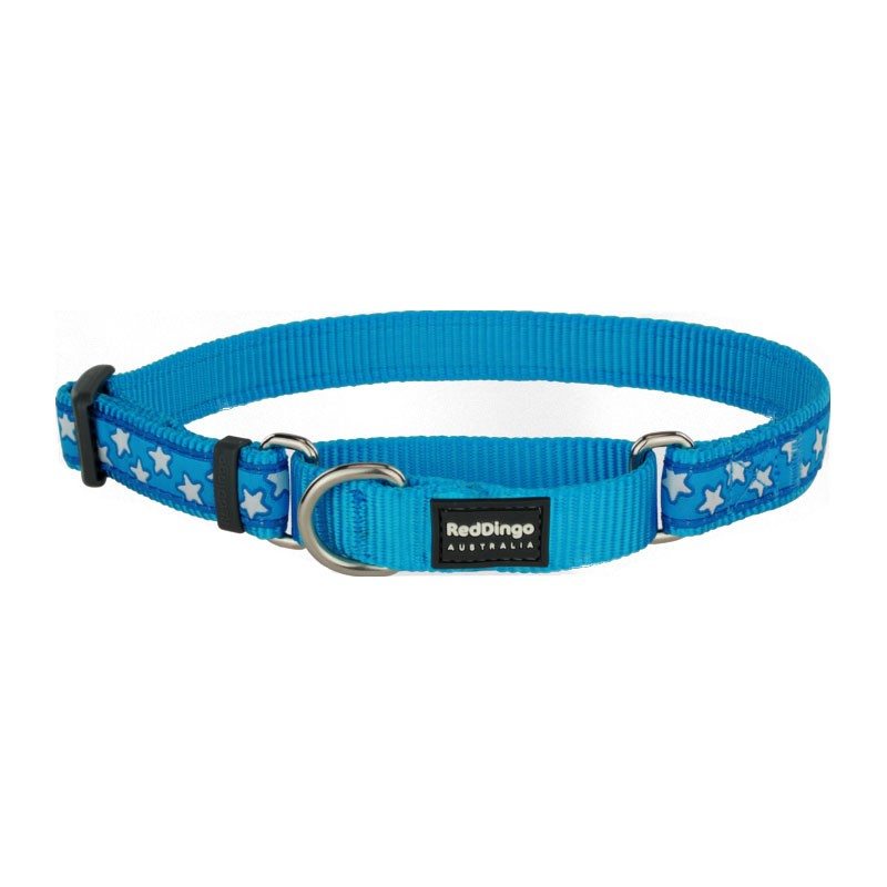 Red Dingo Martingale collar