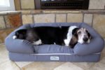 The search for an indestructible dog bed