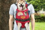 Dog Backpack Carrier