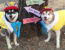 Cutest Alaskan Klee Kai Halloween Costumes