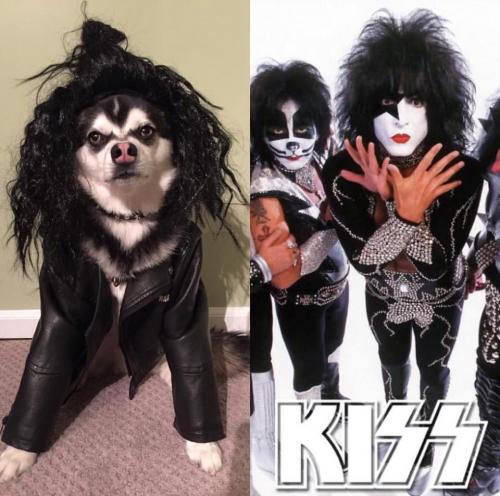 Elton as a member of KISS